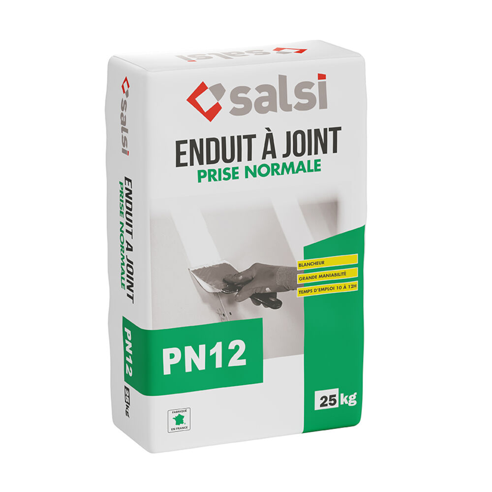 SALSI Enduit poudre à prise PN12