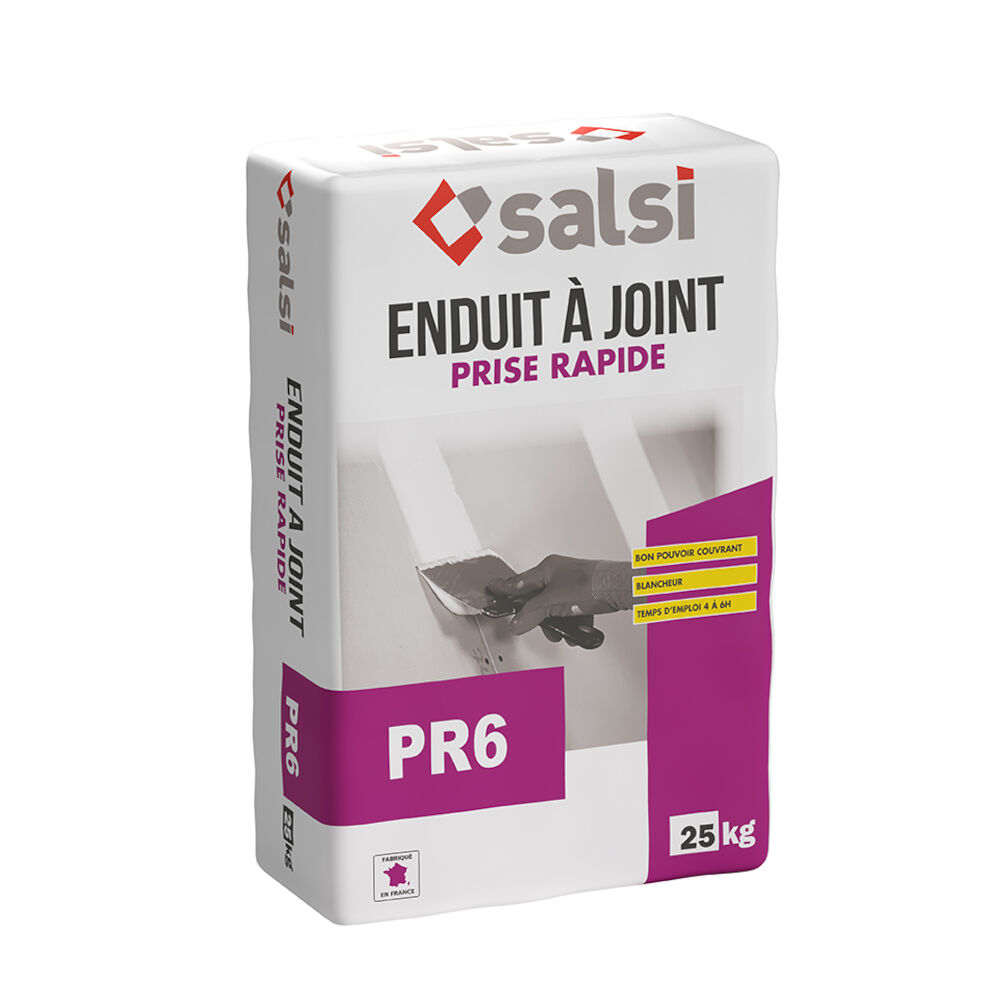 SALSI Enduit poudre à prise PR6